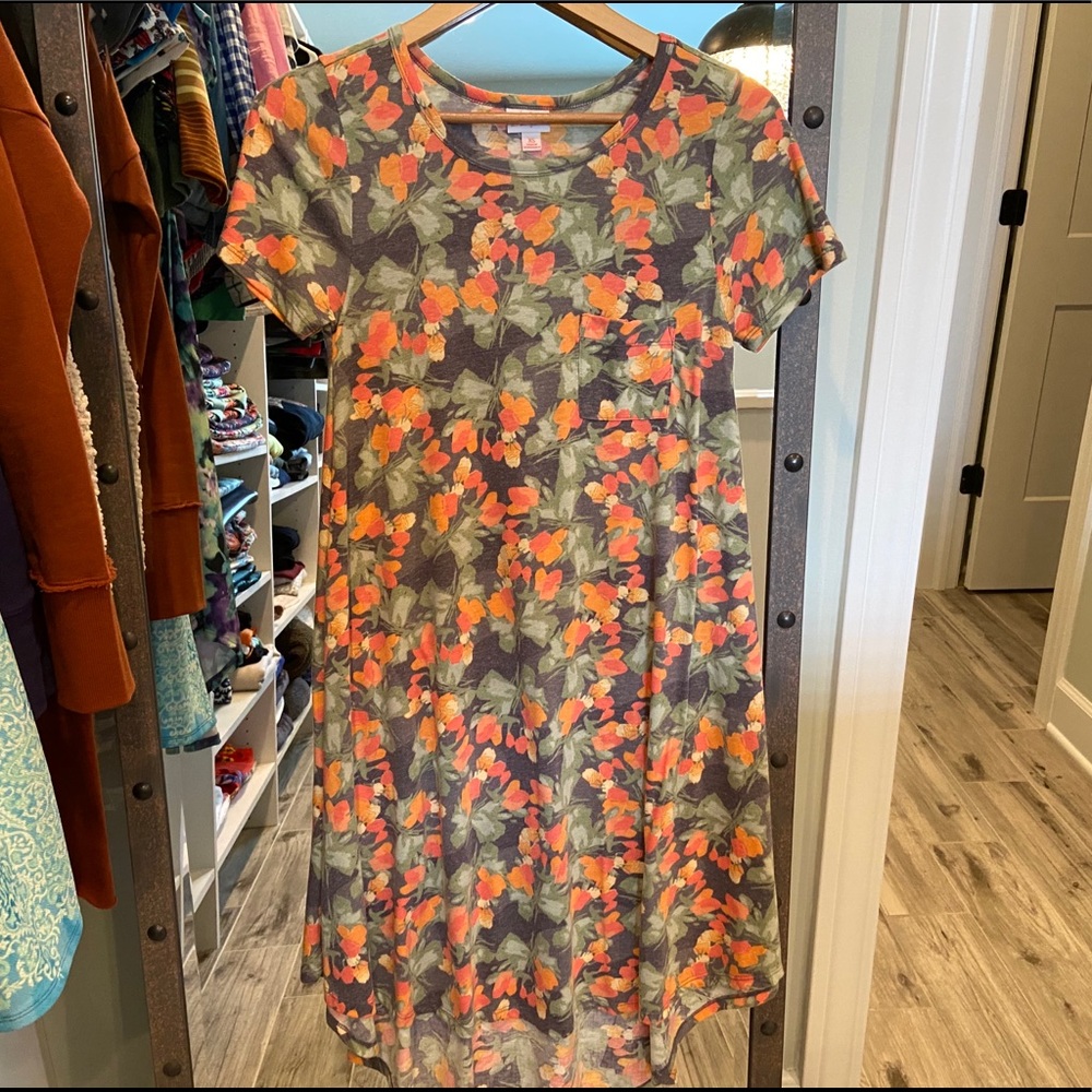 LuLaRoe Carly Dress